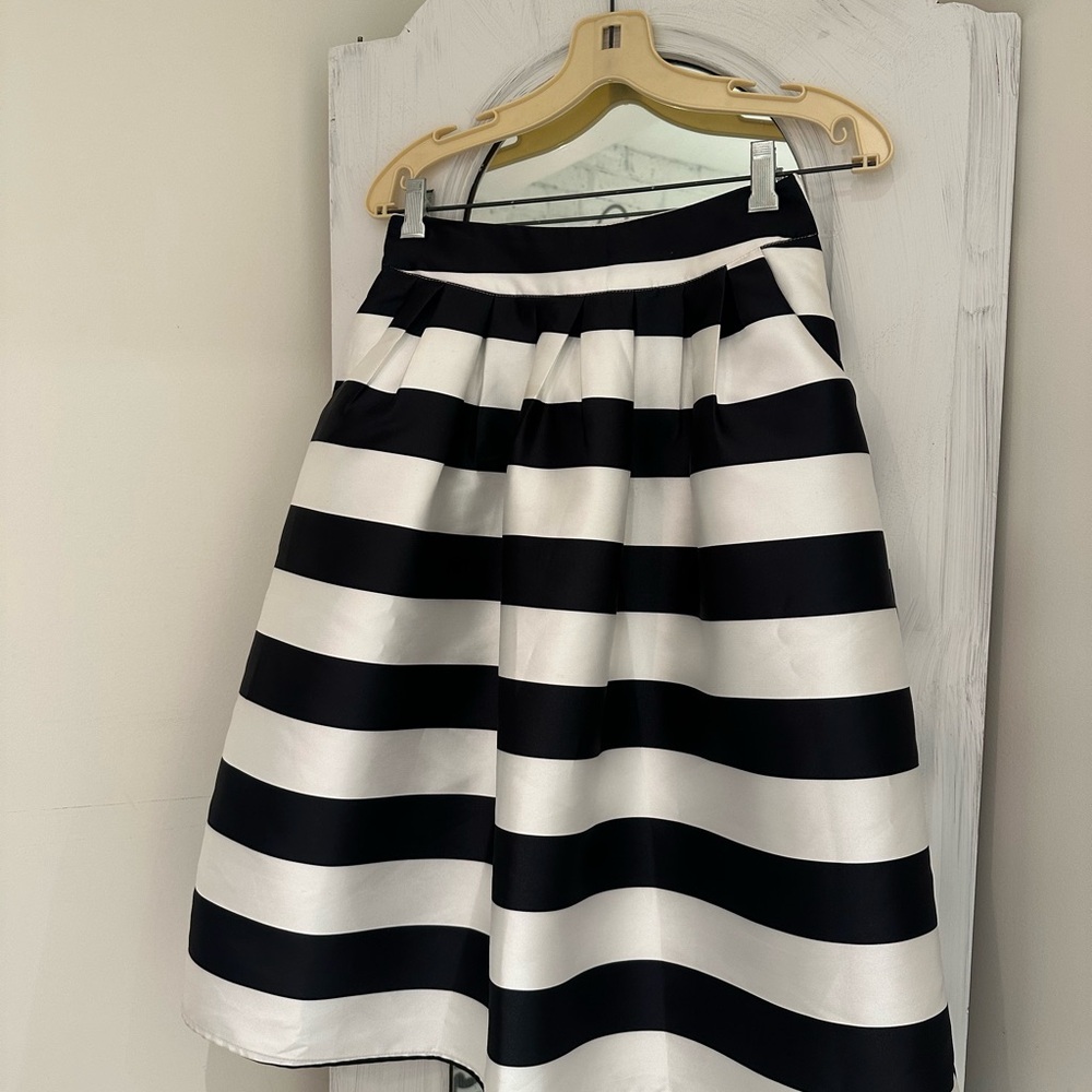 Stunning Black and White A-Line Skirt